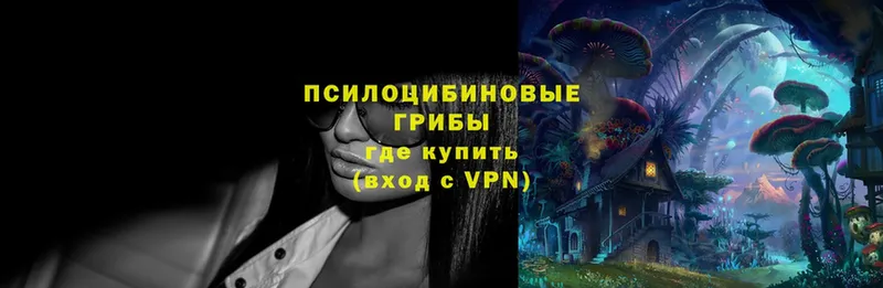 Псилоцибиновые грибы MAGIC MUSHROOMS  Александров 